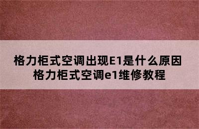 格力柜式空调出现E1是什么原因 格力柜式空调e1维修教程